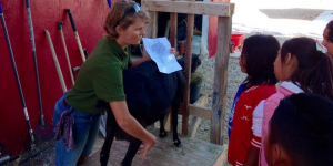 elementary farm field trip milking