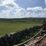 Ever wanted to live like a farmer in Ireland?