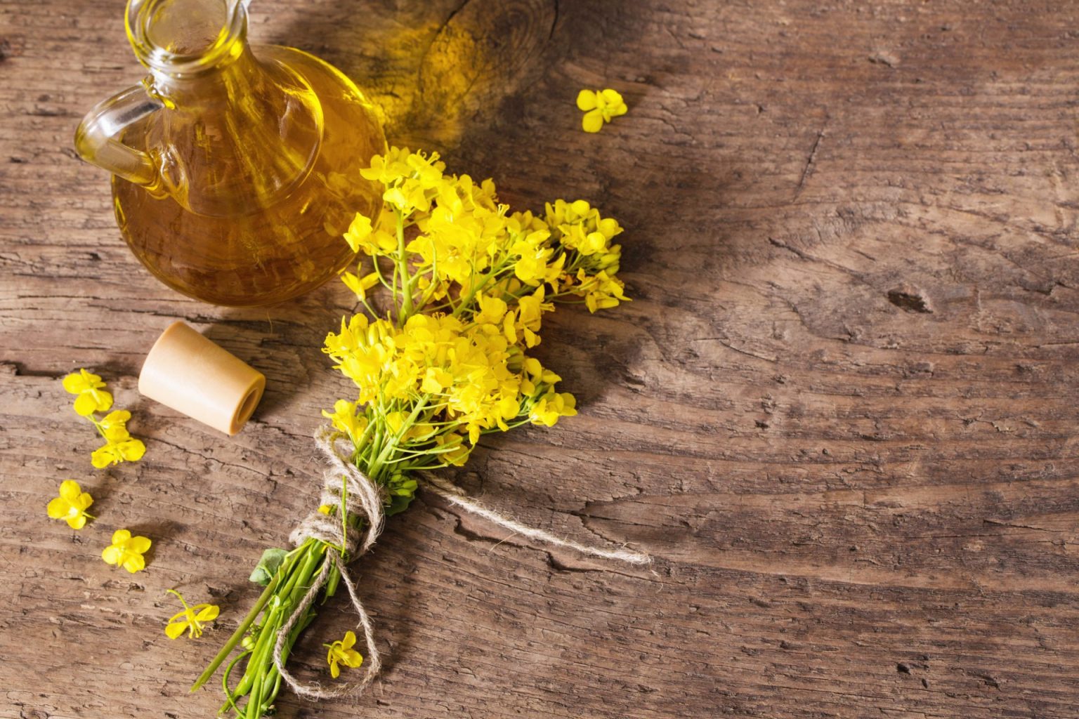 Is canola oil bad for you? Canola oil vs vegetable oil and animal fat